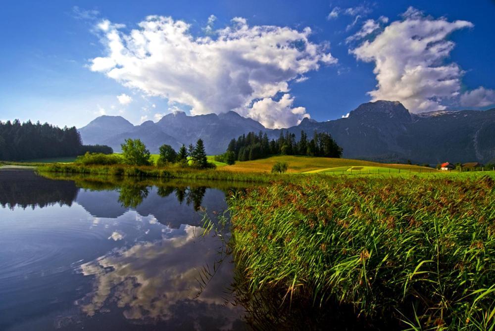 Ferienhaus Bergblick Abtenau Bagian luar foto